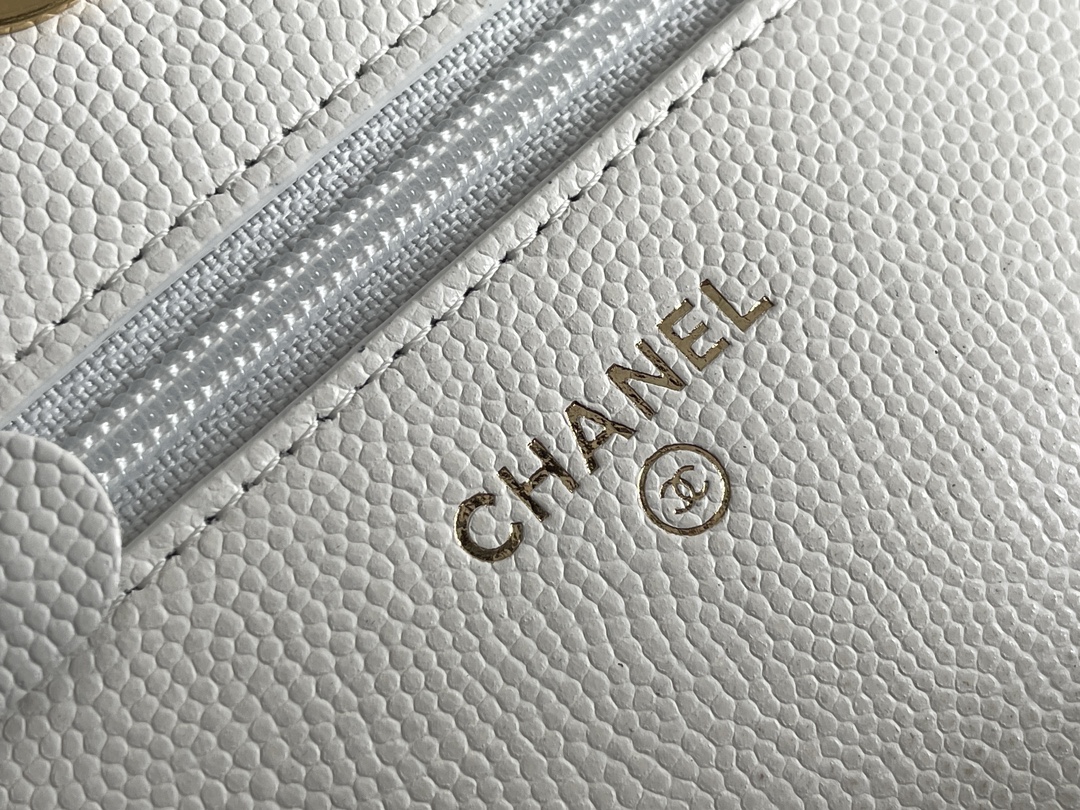 Chanel WOC Bags